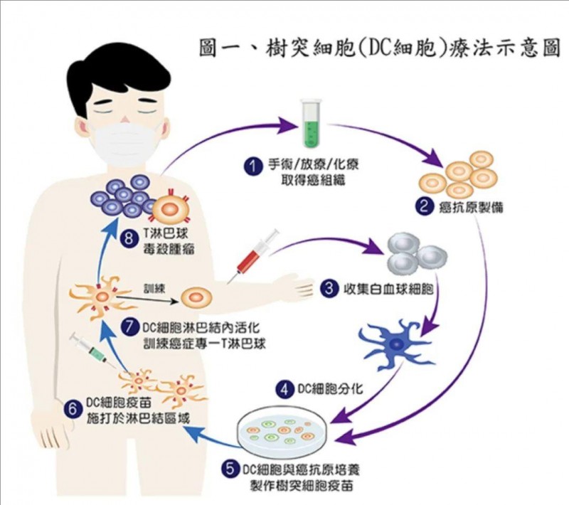 生物制品：从生产到应用，全链条解析