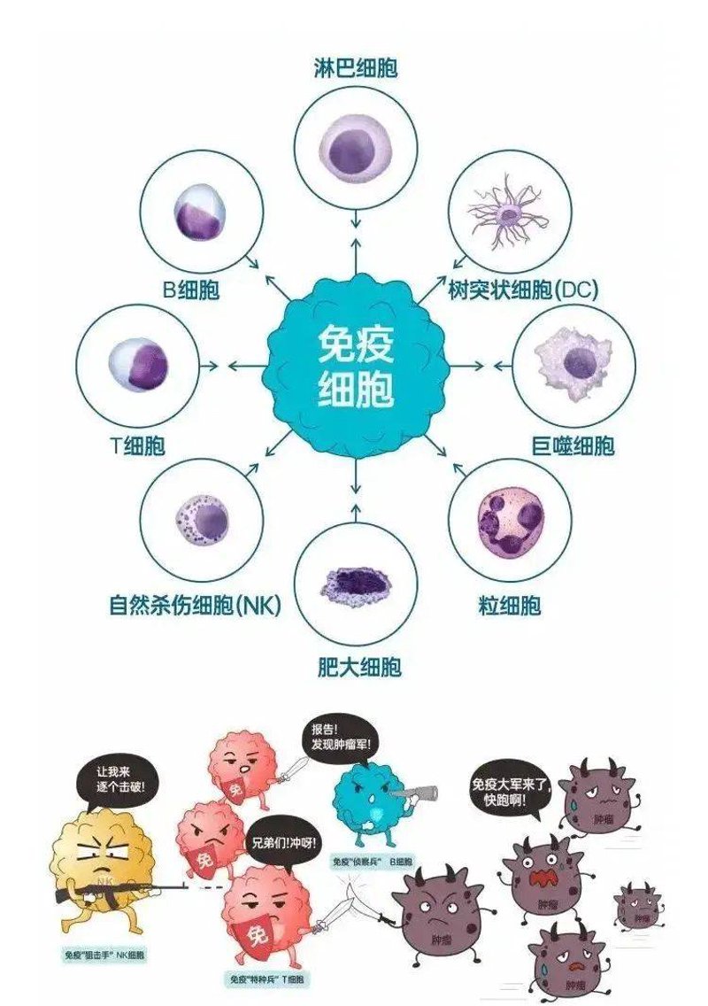 细胞治疗
