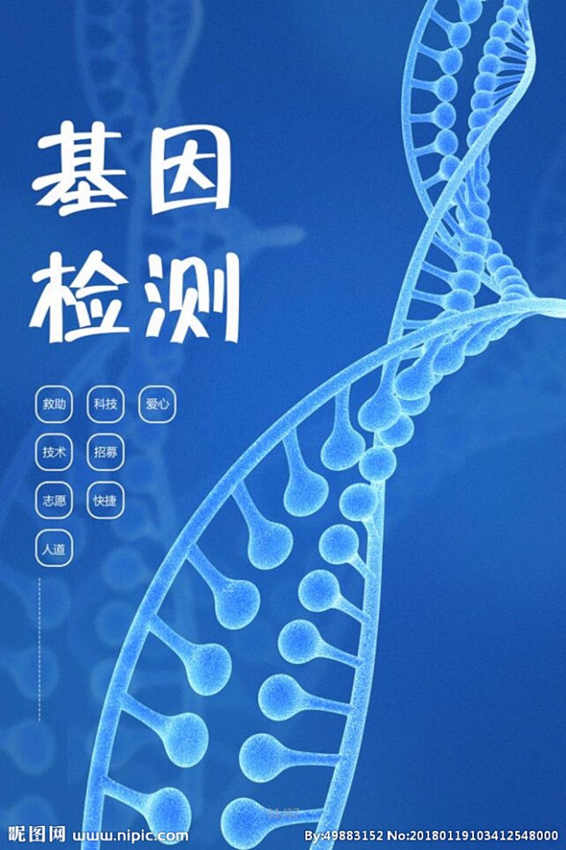 医药中间体：推动制药产业高质量发展的关键环节